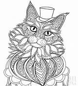 Coon Pet Katzen sketch template