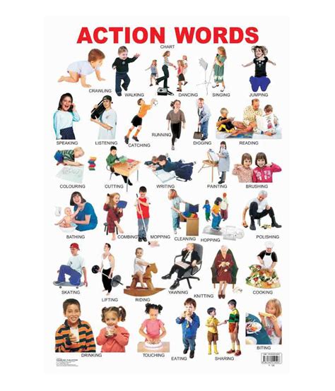action words laminated chart size cm  cm buy action words