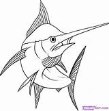 Drawing Tuna Marlin Fish Coloring Drawings Pages Yellowfin Blue Draw Printable Google Getdrawings Line Sword Choose Board sketch template