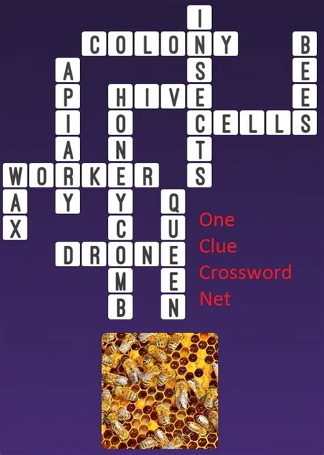 honeycomb  clue crossword