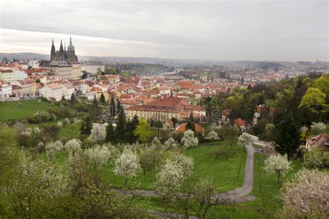 View On The Spring Prague City With Gothic Castle Green Nature And