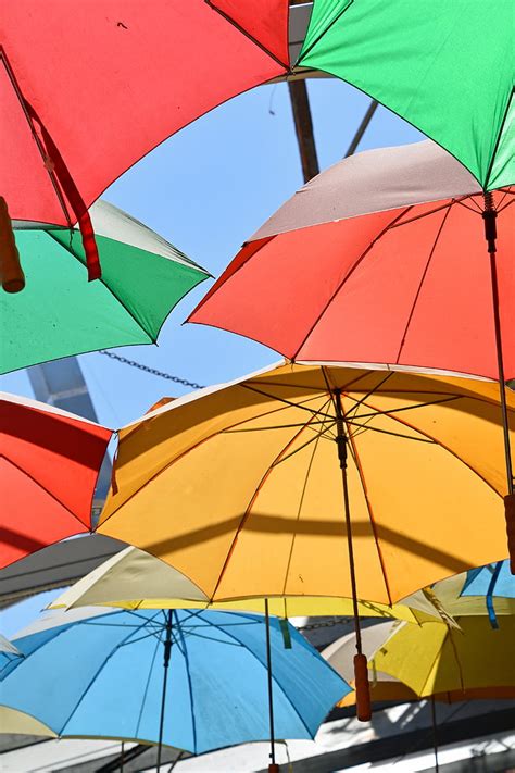 royalty  photo assorted color umbrellas pickpik