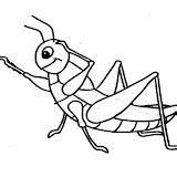Grasshopper Coloring sketch template
