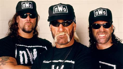 nwo  reforming  wwe   sports daily