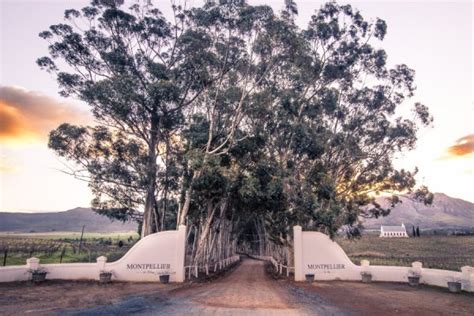 montpellier wine estate tulbagh accommodation exclusive getaways