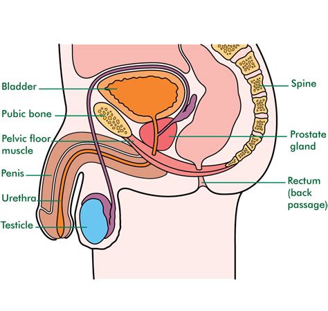 managing bowel control problems information and support macmillan