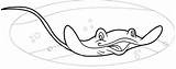 Manta Swimmer sketch template