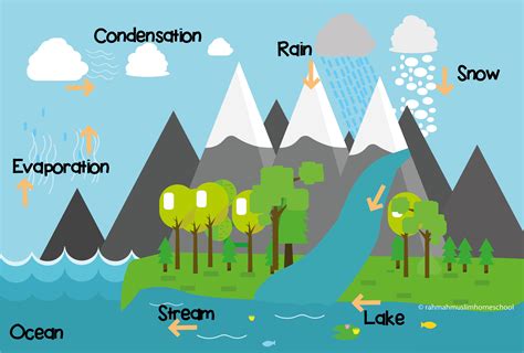 science  kids  water cycle  islamic home education resources
