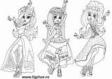 Colorat Coloring Dorinte Draculaura Frankie Clawdeen Planse Stein Mewarnai Plansa Gambar Tigrisor sketch template