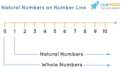 natural numbers definition list meaning examples