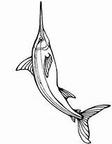 Coloring Pages Fish Swordfish Fishing Templates Animal Drawing Marlin Spearfish sketch template