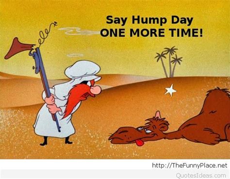 50 Beautiful Hump Day Wish Pictures And Images