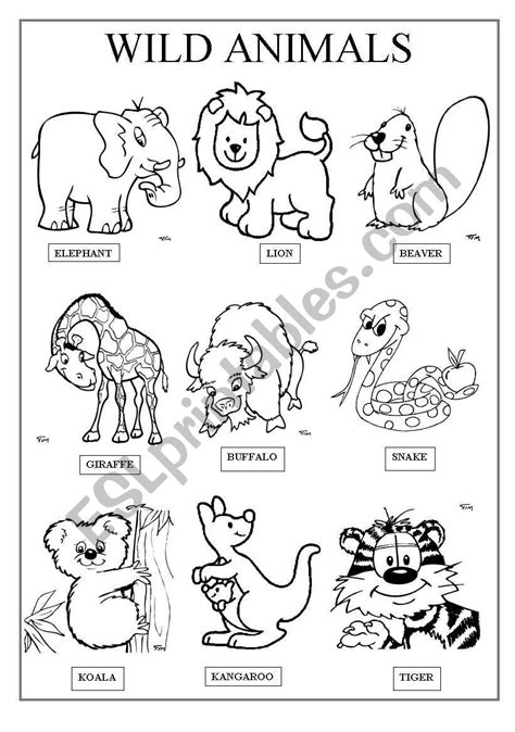 wild animals esl worksheet  famosa animal worksheets animals