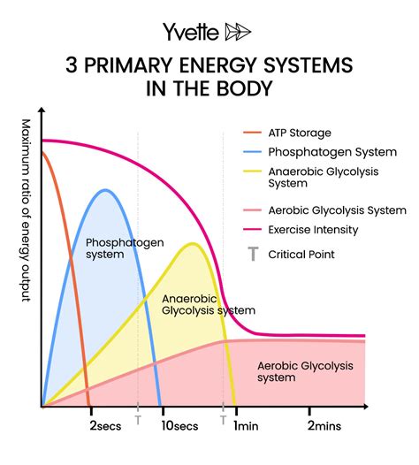 primary energy systems   body yvette