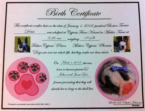 puppy birth certificates dog birth birth certificate template
