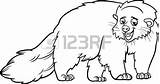 Binturong Bearcat Cartoon Coloring Vector Stock Animal 238px 63kb Shutterstock sketch template