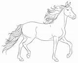 Realistic Pferde Schleich Arabian sketch template