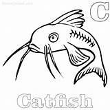Catfish Sheets sketch template