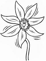 Clematis sketch template
