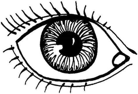 eyes coloring pages kids learn      coloring pages