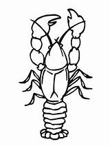 Crustacean Onlinecoloringpages sketch template