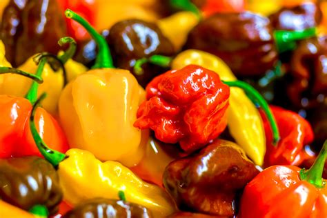 different types hot pepper