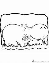 Hippo Nilpferd Cartoon Hippopotamus sketch template