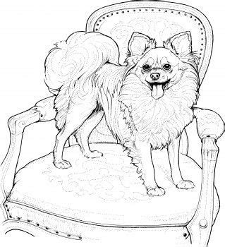 dogcoloring dog coloring page horse coloring pages