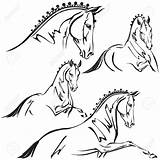 Dressage Horse Vector Drawing Clip Illustrations Themes Graphics Trailer Horses Getdrawings Crossed Adapted Plotter Paths Compound Lines Sport Stock sketch template