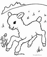 Pages Easter Coloring Colouring Lamb Printable Print sketch template