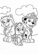 Coloring Pages Everest Patrol Paw Print Template sketch template