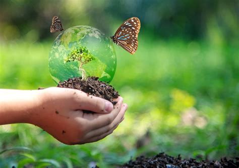 Dia Mundial Do Meio Ambiente 2021 “restauração De Ecossistemas”