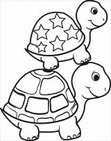 Coloring Tortoise sketch template