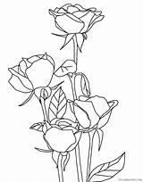 Coloring4free Coloring Nature Printable Pages Kids sketch template