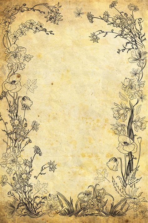 flower  paper  vanessabettencourt  deviantart