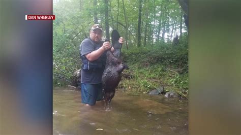 video shows rabid beaver attack father 7 year old daughter during