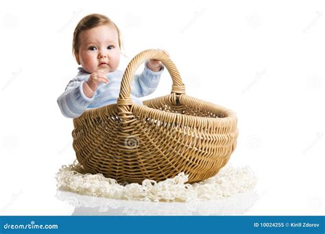 baby   basket stock image image  background