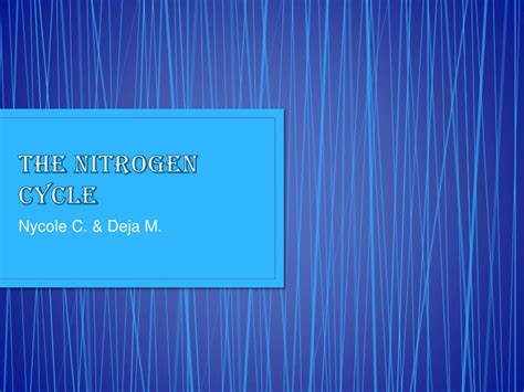 nitrogen cycle powerpoint