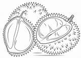 Durian Durians sketch template