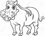 Warthog Coloring 75kb 1300 Animal Cartoon sketch template