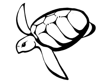 turtle outline clipart black  white   cliparts