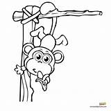 Monkey Coloring Pages Colouring Baby Hanging Template Cute Kids Printables Swinging Colour Drawing Color Print Clipartpanda Head Books Jungle Getdrawings sketch template