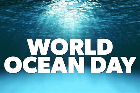 world ocean day  wishes theme facts messages  images