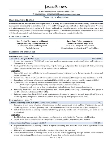 marketing director resume examples resume professional writers