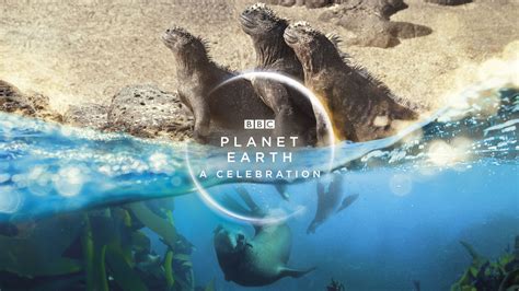 planet earth  celebration   expect  tonights documentary
