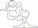 Daffy sketch template