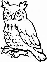 Owl Coloring Pages Animals Printable Owls Sheets Kids Drawing Line Owlish sketch template