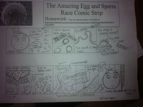 mr gaynors class the amazing sperm and egg race comic strips and creative writing