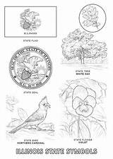 Illinois State Coloring Symbols Pages Printable Animals Bird Visit Select Category sketch template