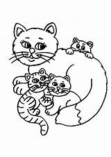 Katze Ausmalbilder Malvorlagen Katzen Ausdrucken Zum sketch template